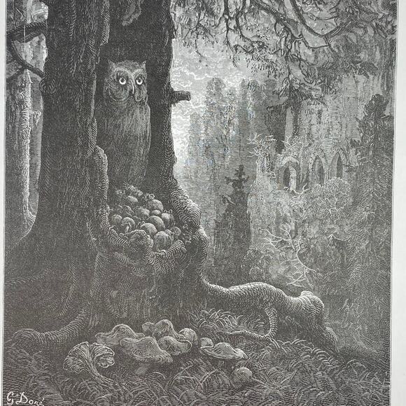 Dore, Fables, Mice and Owl, Old Man, Print, Bookplate, Art, ~ 240706-WH 290 - Picture 1 of 4